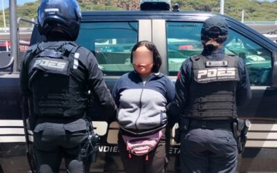 MUJER ES DETENIDA EN POSESIÓN DE DIVERSAS SUSTANCIAS TÓXICAS.