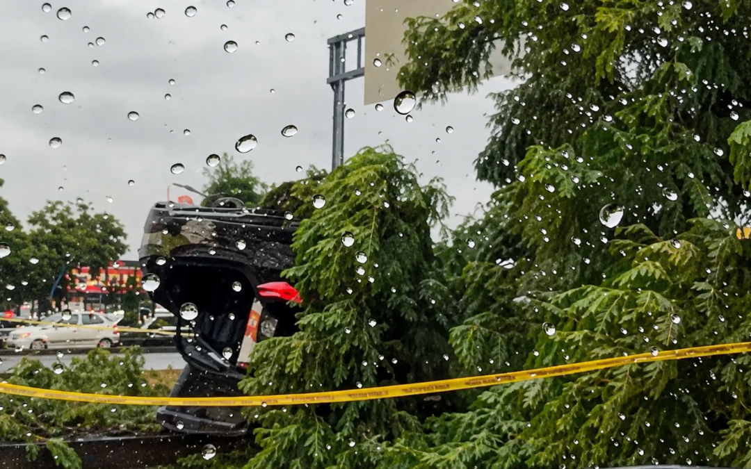 MORTAL ACCIDENTE VEHICULAR SOBRE PASEO DE LA REPÚBLICA.