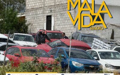 FGE REALIZA MÚLTIPLES DILIGENCIAS DE CATEO EN LOTES DEDICADOS A LA VENTA DE AUTOS EN LA ZONA METROPOLITANA.