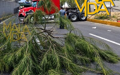CONDUCTOR DE UN TRÁILER PIERDE EL CONTROL DE SU VEHÍCULO SALE DEL CAMINO E INVADE LOS CARRILES DE CONTRAFLUJO DE PASEO 5 DE FEBRERO.